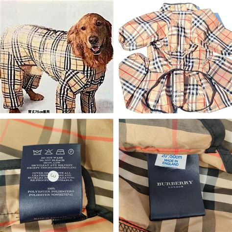 burberry accessori per cani|burberry pet accessories.